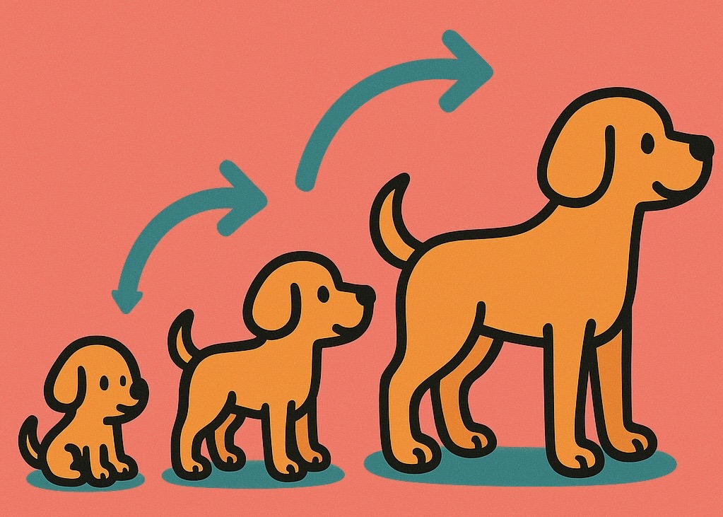 子犬から成犬へと成長する様子を描いたイラスト