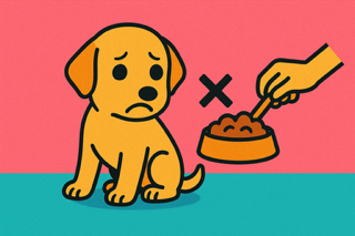 犬に人間の食べ物を与えてはいけない様子を描いたイラスト
